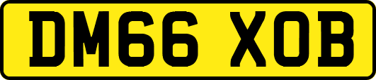 DM66XOB
