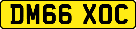 DM66XOC