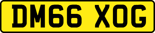 DM66XOG