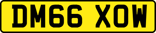 DM66XOW