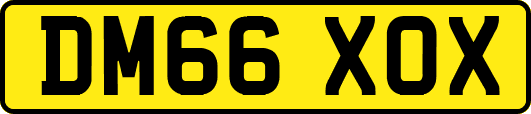 DM66XOX