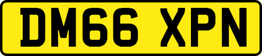 DM66XPN