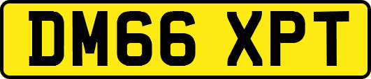 DM66XPT