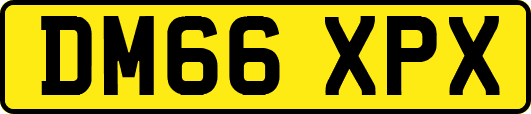 DM66XPX