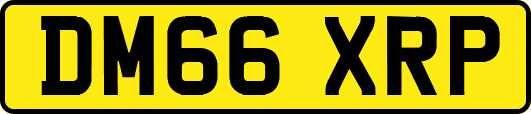 DM66XRP