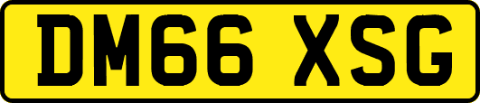 DM66XSG