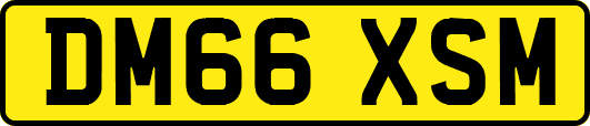 DM66XSM