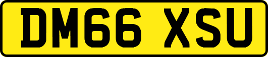 DM66XSU
