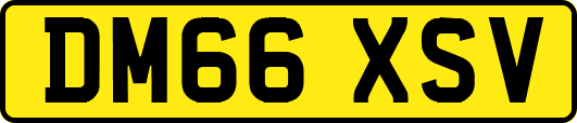 DM66XSV