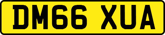 DM66XUA