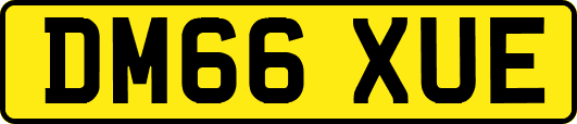 DM66XUE