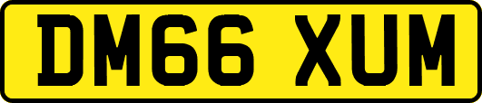 DM66XUM