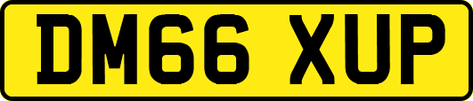 DM66XUP