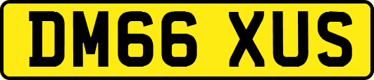 DM66XUS