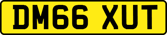 DM66XUT