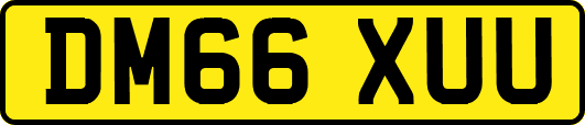 DM66XUU