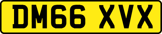 DM66XVX