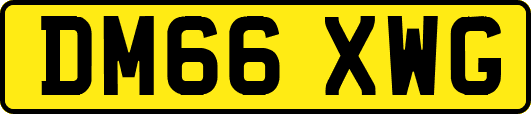 DM66XWG