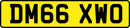 DM66XWO