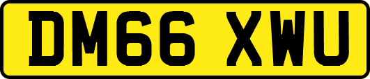 DM66XWU