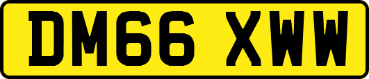 DM66XWW