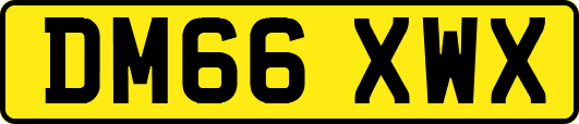 DM66XWX