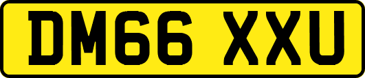 DM66XXU