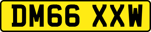 DM66XXW