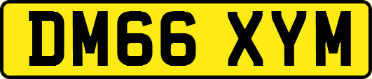 DM66XYM