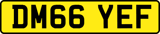 DM66YEF