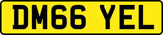 DM66YEL