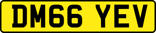 DM66YEV