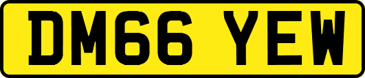 DM66YEW