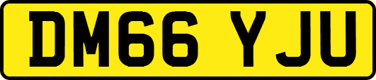 DM66YJU