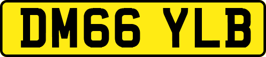 DM66YLB