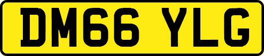DM66YLG