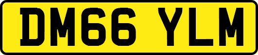 DM66YLM