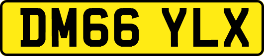 DM66YLX