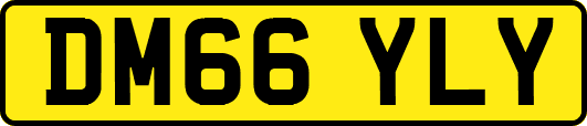 DM66YLY