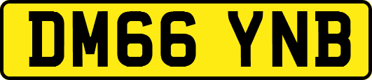 DM66YNB