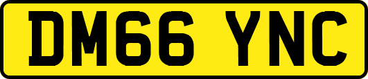 DM66YNC