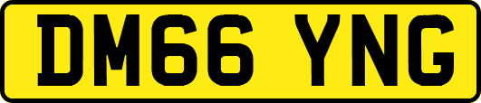 DM66YNG