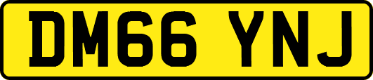 DM66YNJ