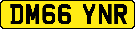 DM66YNR