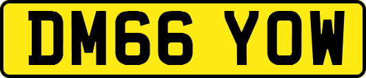 DM66YOW