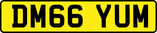 DM66YUM