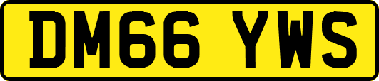 DM66YWS