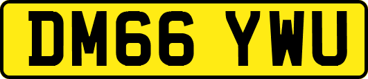 DM66YWU