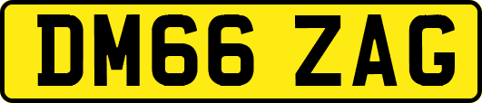 DM66ZAG