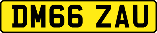 DM66ZAU